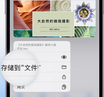 大连apple维修中心分享iPhone文件应用中存储和找到下载文件