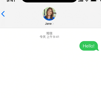 大连apple维修iPhone上无法正常发送iMessage信息