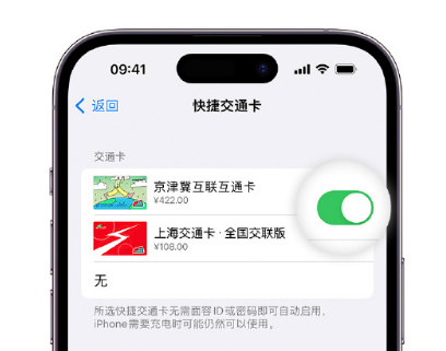 大连apple维修点分享iPhone上更换Apple Pay快捷交通卡手绘卡面 