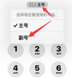 大连苹果14维修店分享iPhone 14 Pro Max使用副卡打电话的方法 