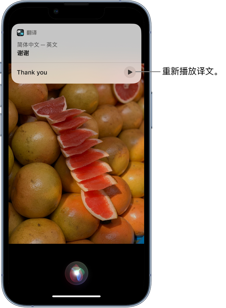 大连苹果14维修分享 iPhone 14 机型中使用 Siri：了解 Siri 能帮你做什么 