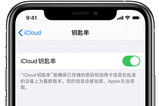 大连苹果手机维修分享在 iPhone 上开启 iCloud 钥匙串之后会储存哪些信息 