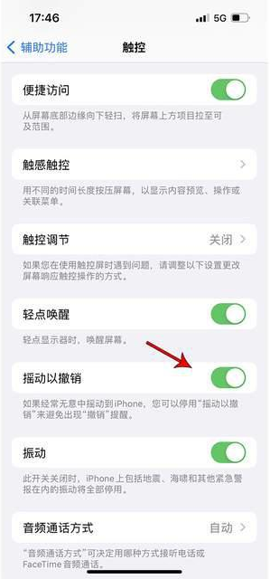 大连苹果手机维修分享iPhone手机如何设置摇一摇删除文字 