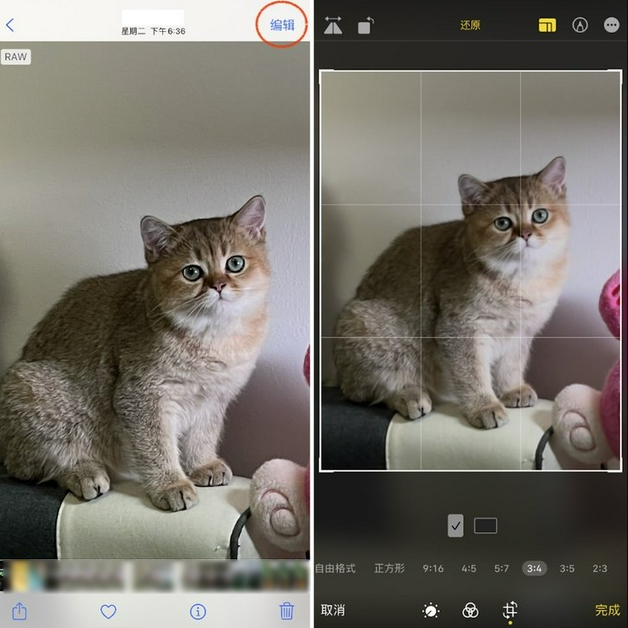 大连苹果手机维修分享苹果 iPhone 12 Pro 拍照会过度锐化 