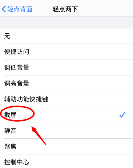 大连苹果手机维修分享iPhone12如何启用双击截屏 