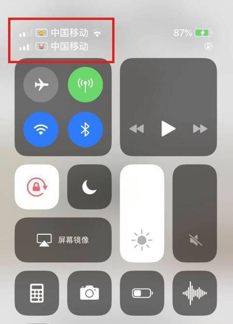 大连苹果手机维修分享为 iPhone 12 双卡设置标签 