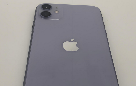 大连苹果11系统维修分享iPhone11手机系统崩溃无法开机如何解决