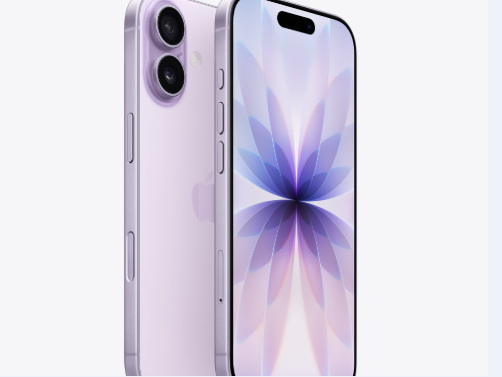大连苹果维修点分享iPhone 17锁屏密码使用参考 